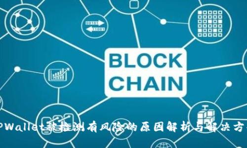 TPWallet被检测有风险的原因解析与解决方案